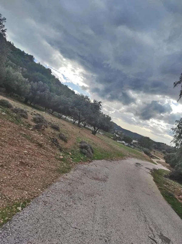6,500 m² Land for Sale in Vari - Varkiza, Athens Southern suburbs