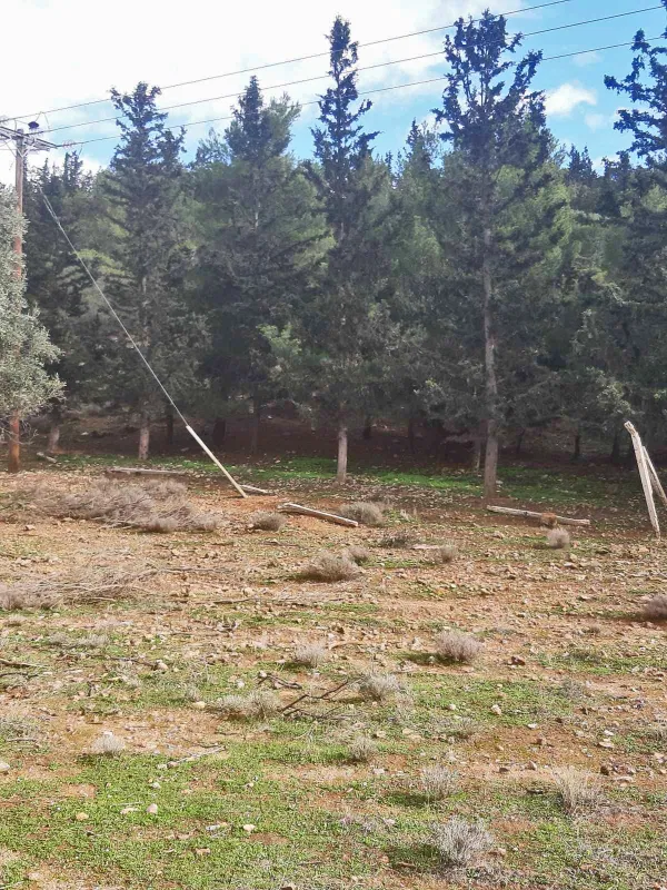 6,500 m² Land for Sale in Vari - Varkiza, Athens Southern suburbs — photo 3