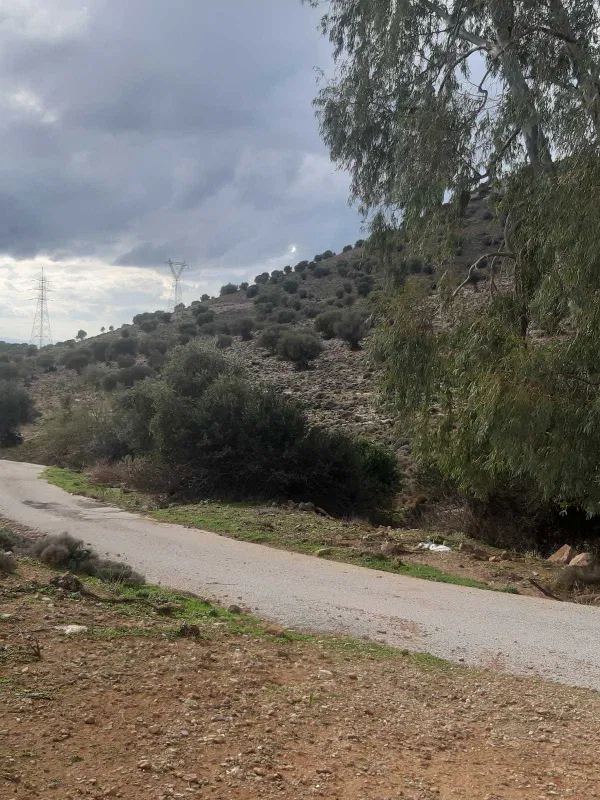 6,500 m² Land for Sale in Vari - Varkiza, Athens Southern suburbs — photo 2