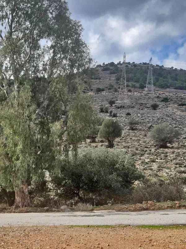 6,500 m² Land for Sale in Vari - Varkiza, Athens Southern suburbs — photo 5