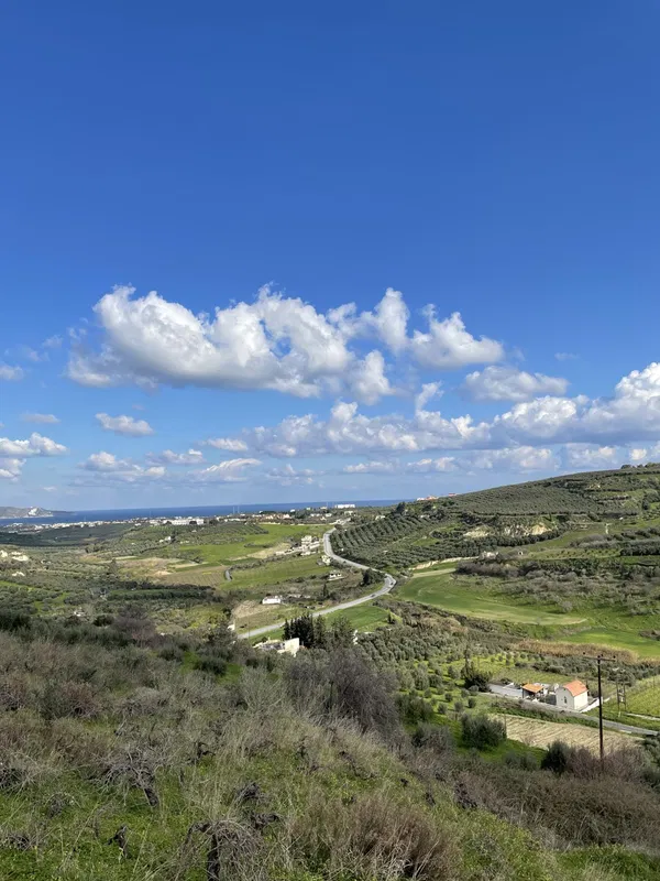 6,000 m² Land for Sale in Heraklion — photo 5