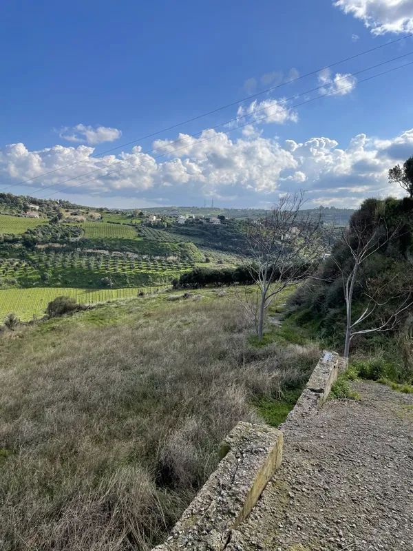 6,000 m² Land for Sale in Heraklion — photo 4