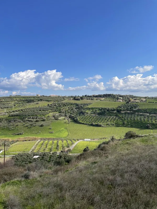 6,000 m² Land for Sale in Heraklion — photo 3