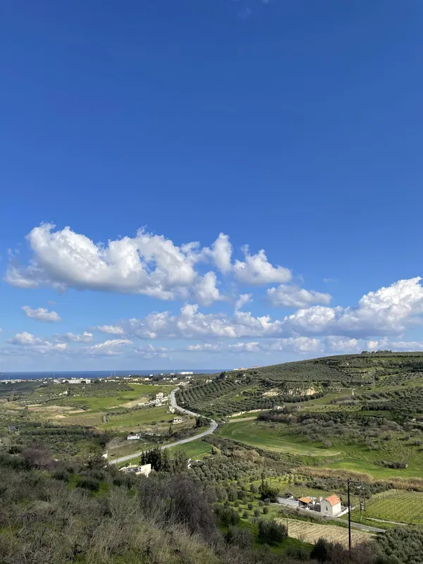 6,000 m² Land for Sale in Heraklion — photo 2