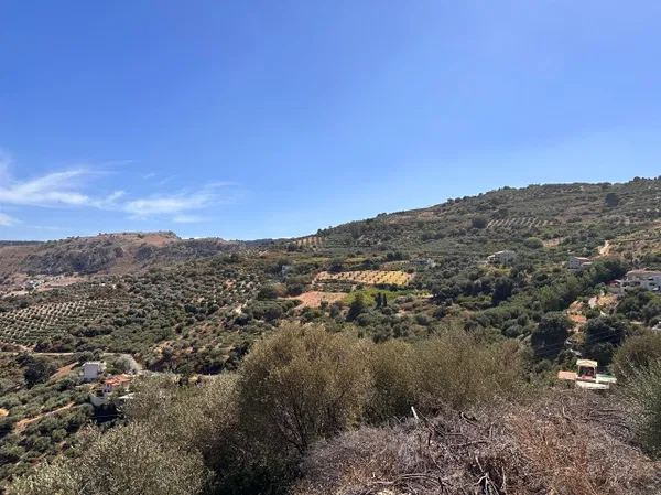4,100 m² Plot of Land for Sale in Heraklion — photo 5