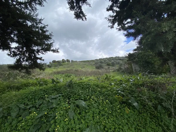 3,500 m² Plot of Land for Sale in Heraklion — photo 3