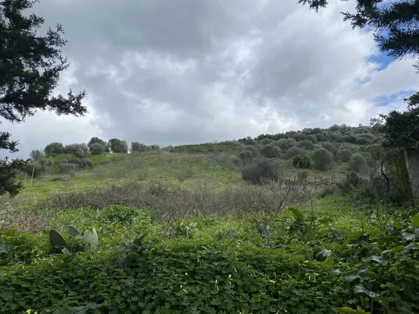 3,500 m² Plot of Land for Sale in Heraklion