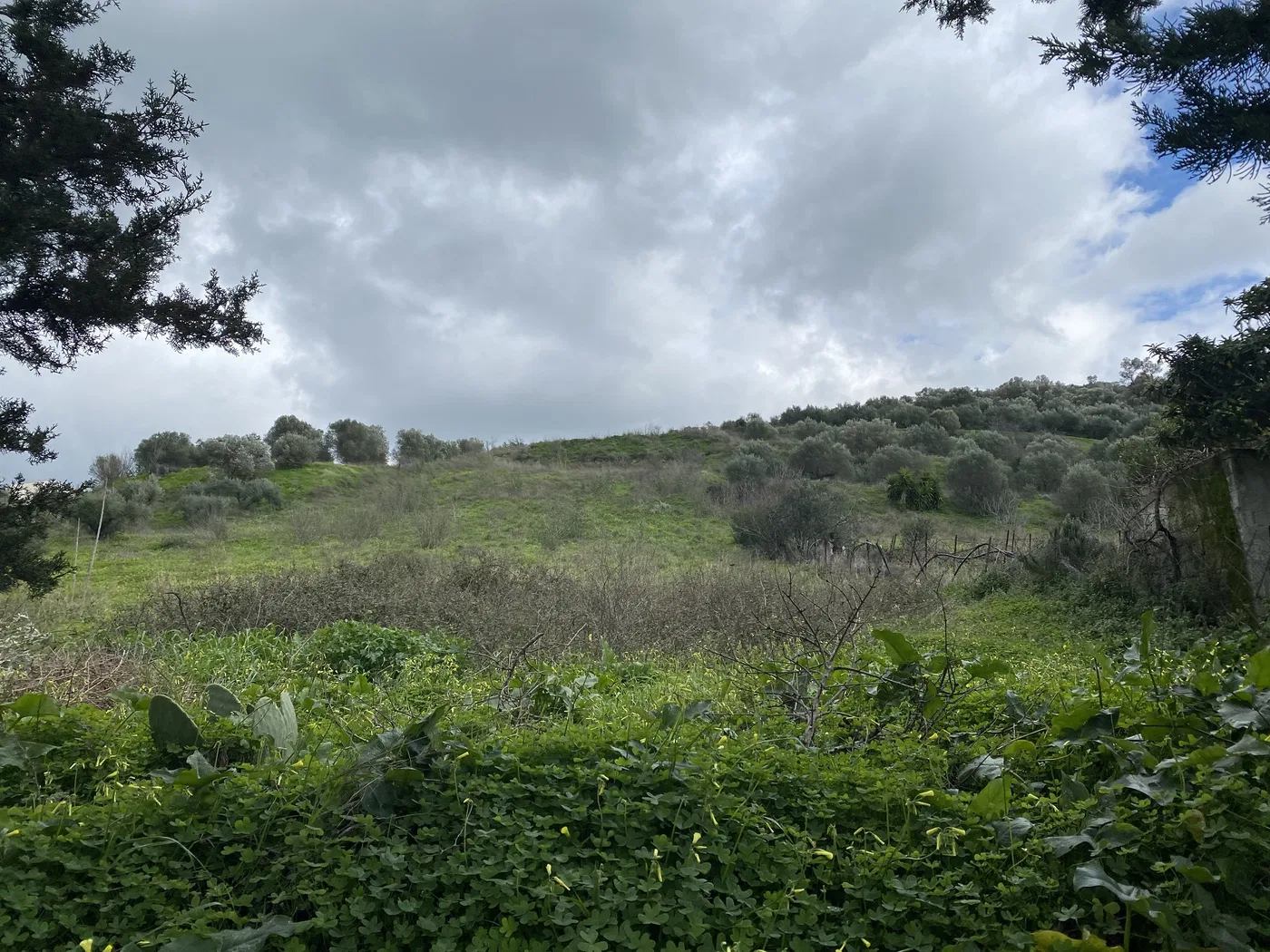 3,500 m² Plot of Land for Sale in Heraklion