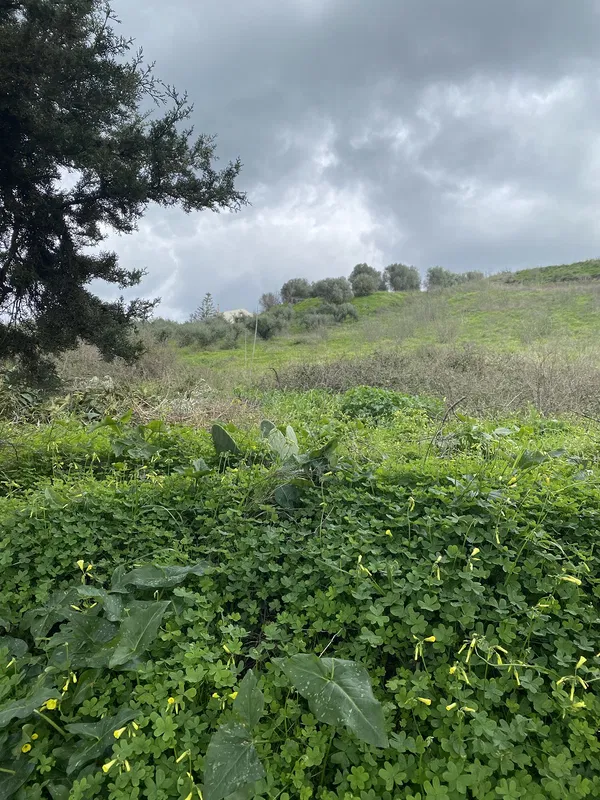 3,500 m² Plot of Land for Sale in Heraklion — photo 2