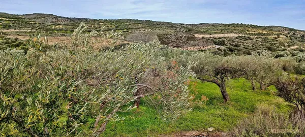 2,030 m² Plot for Sale in Heraklion — photo 3