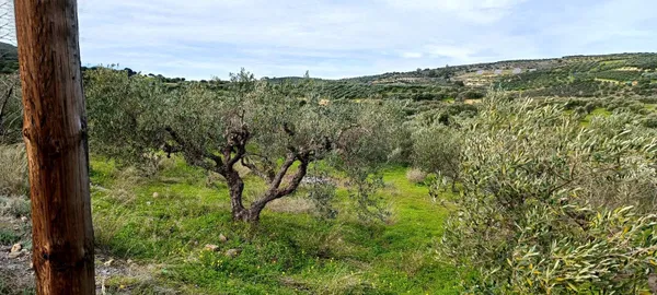 2,030 m² Plot for Sale in Heraklion — photo 2
