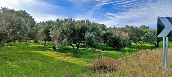 10,000 m² Plot for Sale in Gouves, Hersonissos — photo 2