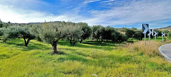 10,000 m² Plot for Sale in Gouves, Hersonissos — photo 3