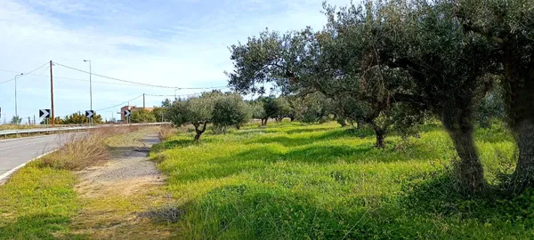 10,000 m² Plot for Sale in Gouves, Hersonissos