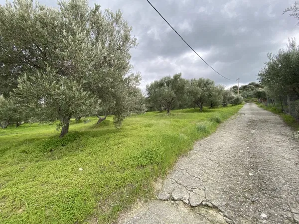 2,000 m² Plot for Sale in Heraklion
