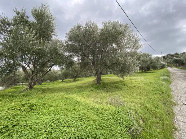 2,000 m² Plot for Sale in Heraklion — photo 3