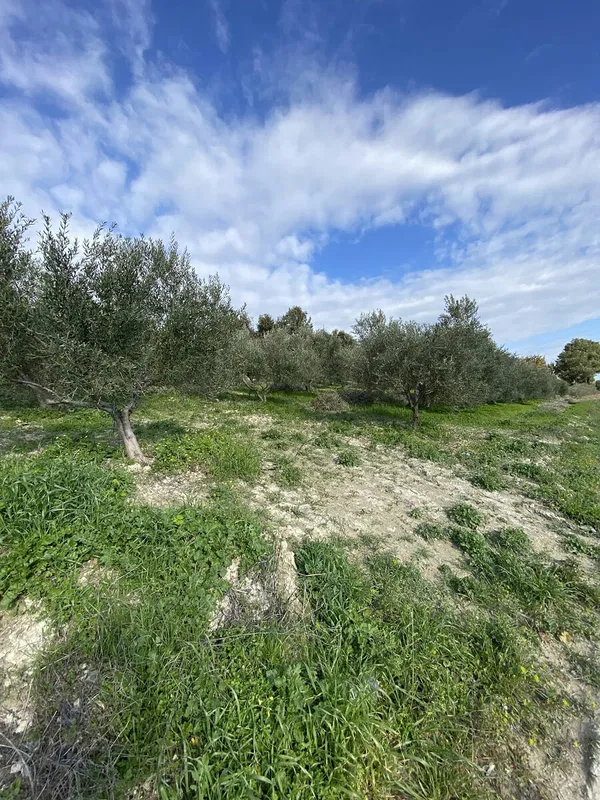 4,250 m² Plot of Land for Sale in Heraklion — photo 2