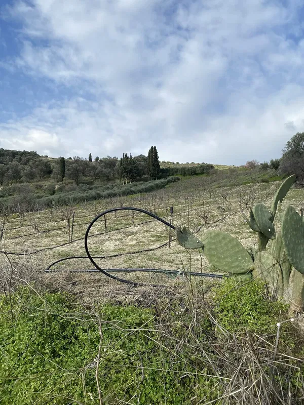 4,250 m² Plot of Land for Sale in Heraklion — photo 4