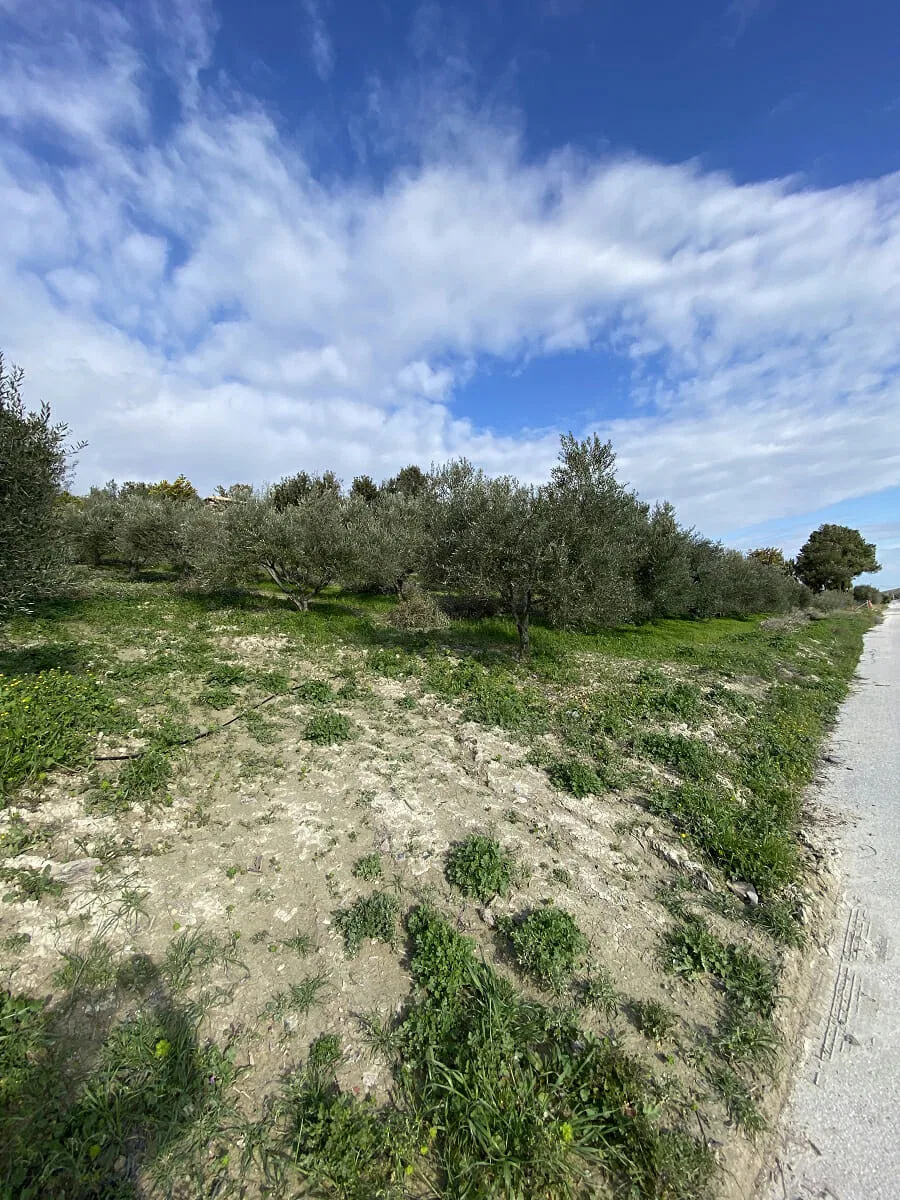 4,250 m² Plot of Land for Sale in Heraklion