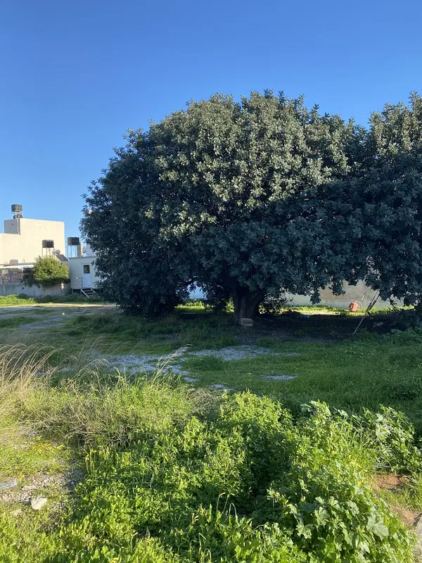 2,326 m² Plot of Land for Sale in Ierapetra, Lasithi — photo 2
