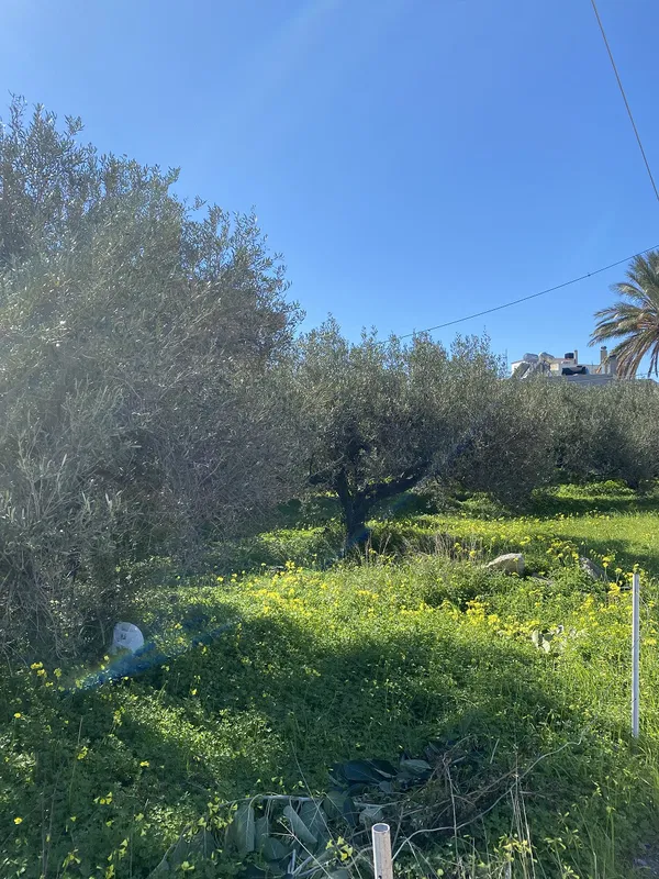 848 m² Land for Sale in Ierapetra, Lasithi — photo 5