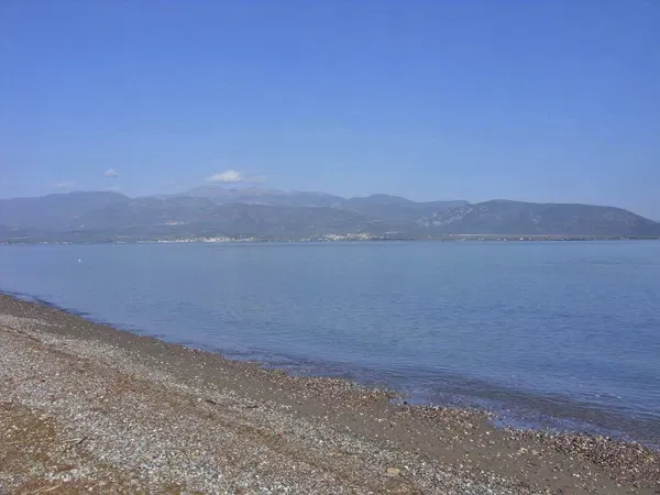14,756 m² Plot for Sale in Lamia, Sterea Hellas — photo 5