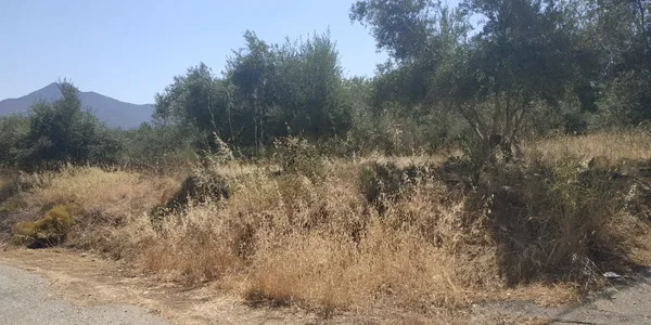 800 m² Land for Sale in Mylopotamos Rethymno, Mylopotamos — photo 3