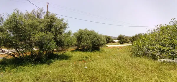 Three-Bedroom Villa for Sale in Chorafakia, Akrotiri — photo 5