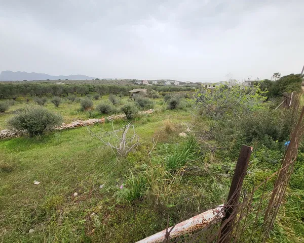 Seafront 5,410 m² Plot of Land for Sale in Agios Onoufrios, Akrotiri — photo 4