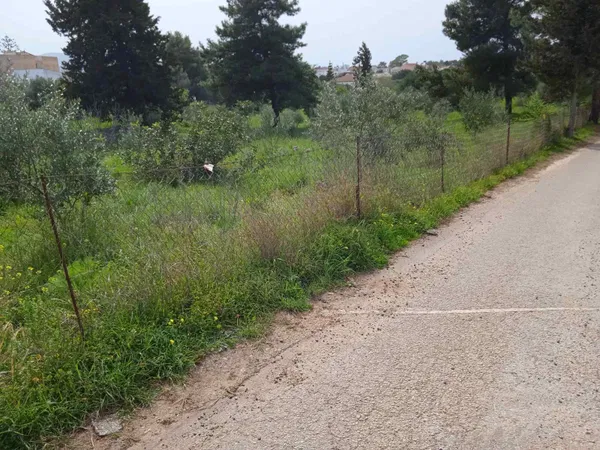 1,000 m² Plot for Sale in Sternes, Akrotiri
