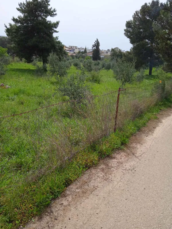 1,000 m² Plot for Sale in Sternes, Akrotiri — photo 3