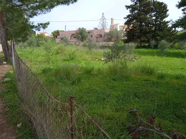 1,000 m² Plot for Sale in Sternes, Akrotiri — photo 4