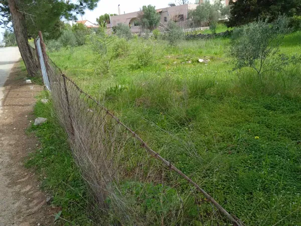 1,000 m² Plot for Sale in Sternes, Akrotiri — photo 5