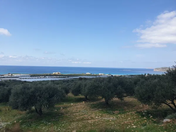 8,000 m² Land for Sale in Falasarna, Kissamos — photo 2