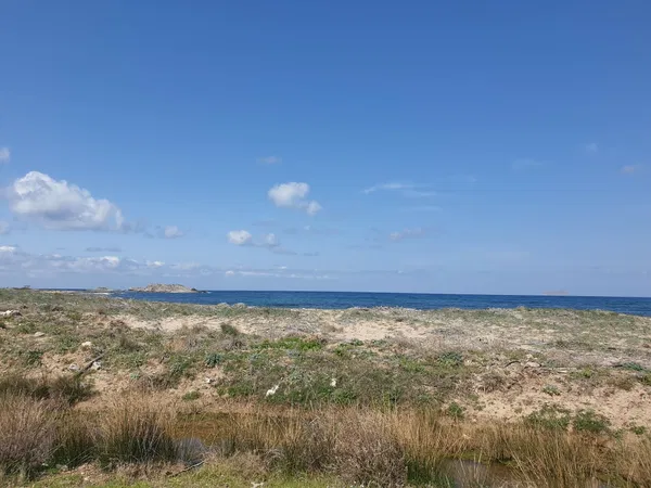 8,000 m² Land for Sale in Falasarna, Kissamos — photo 5
