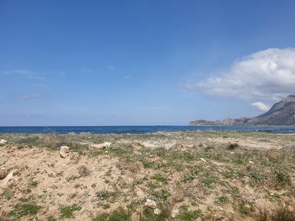8,000 m² Land for Sale in Falasarna, Kissamos — photo 4
