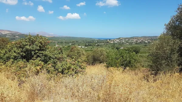 18,000 m² Land for Sale in Nio Chorio, Apokoronas