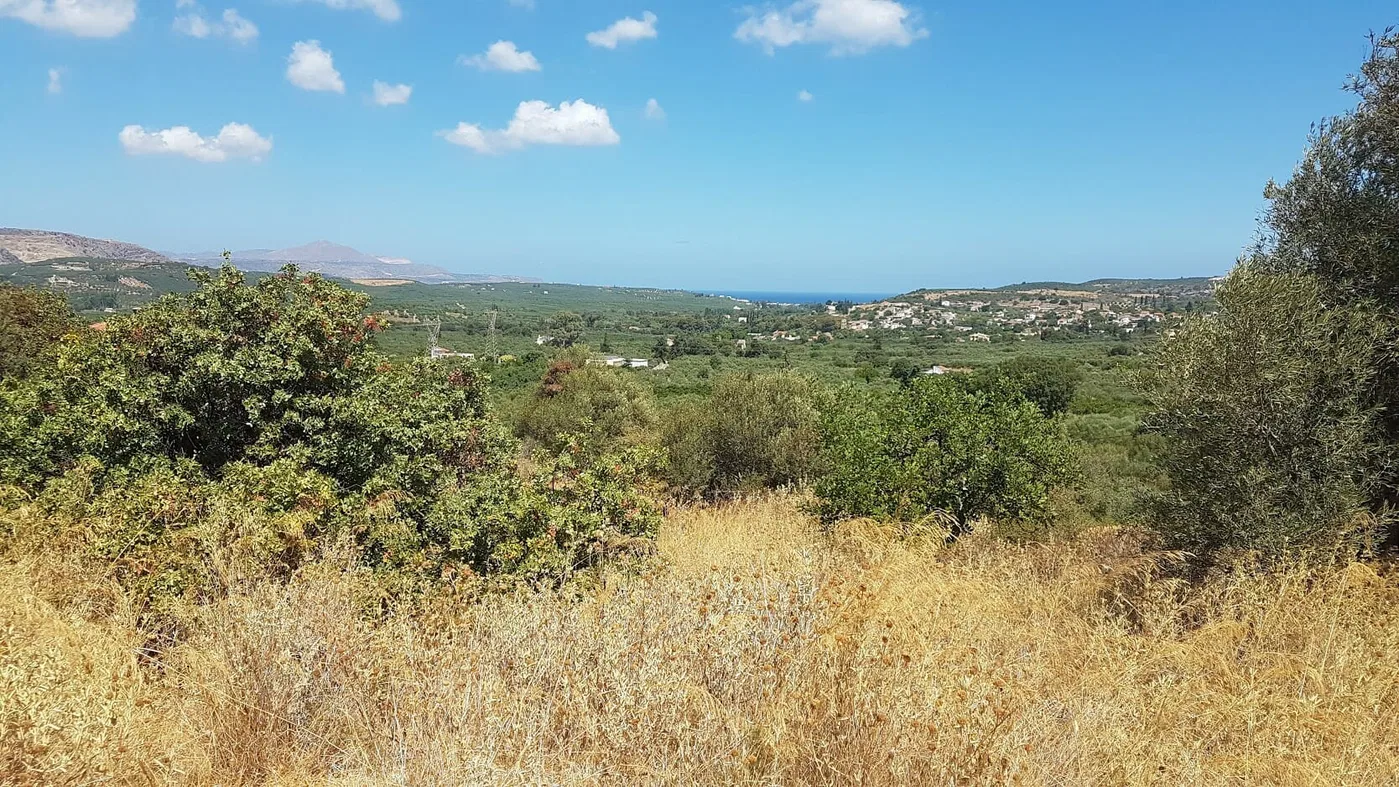 18,000 m² Land for Sale in Nio Chorio, Apokoronas