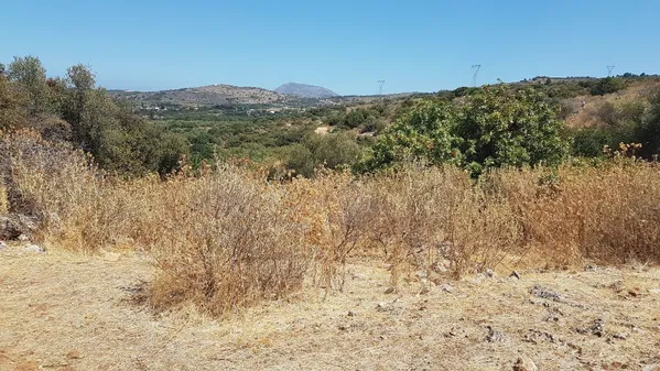 18,000 m² Land for Sale in Nio Chorio, Apokoronas — photo 2
