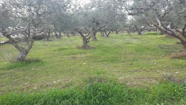 Sea-View 5,500 m² Plot of Land for Sale in Falasarna, Kissamos — photo 3