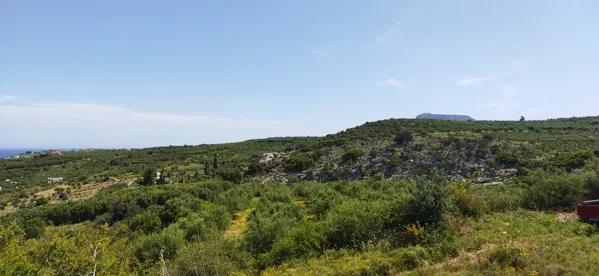Seafront 13,000 m² Plot for Sale in Kalyves, Apokoronas — photo 3