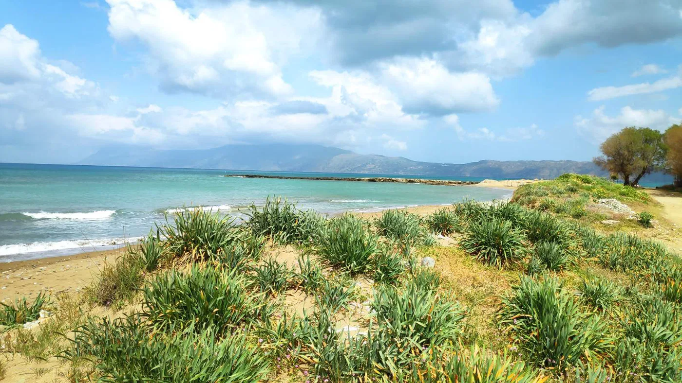 1,250 m² Land for Sale in Kasteli Kissamos, Kissamos