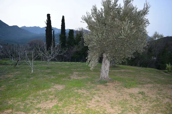 400 m² Plot of Land for Sale in Evia, Sterea Hellas — photo 2