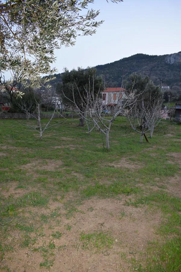 400 m² Plot of Land for Sale in Evia, Sterea Hellas — photo 3