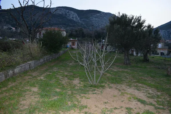 400 m² Plot of Land for Sale in Evia, Sterea Hellas — photo 5