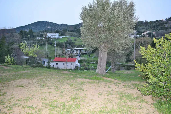 664 m² Plot of Land for Sale in Evia, Sterea Hellas — photo 5