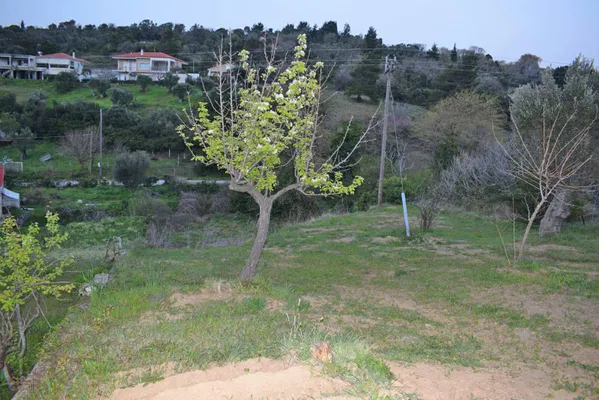 664 m² Plot of Land for Sale in Evia, Sterea Hellas — photo 3