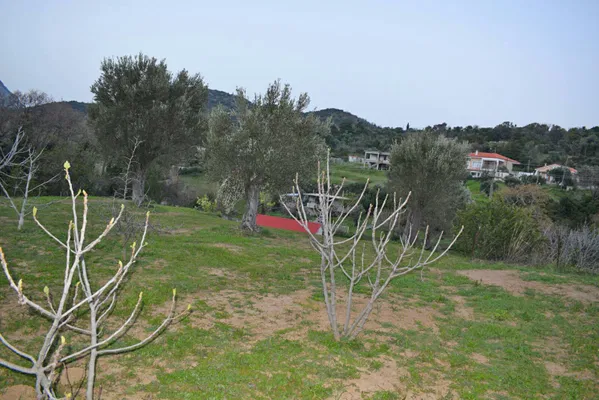 664 m² Plot of Land for Sale in Evia, Sterea Hellas — photo 4