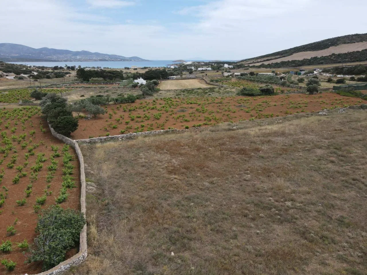 Seafront 11,512 m² Land for Sale in Antiparos, Cyclades