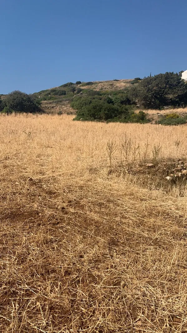 Seafront 50,948 m² Land for Sale in Paros, Cyclades — photo 5